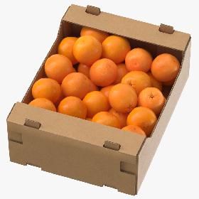 Cardboard Display Box 03 with Oranges 3D model